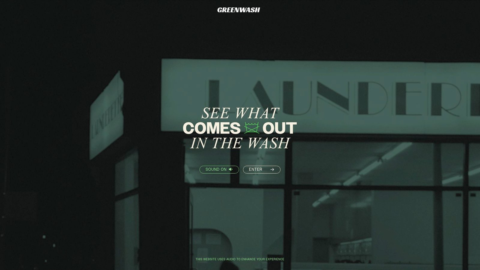 Screenshot of GreenWash website homepage showing their eco-friendly services