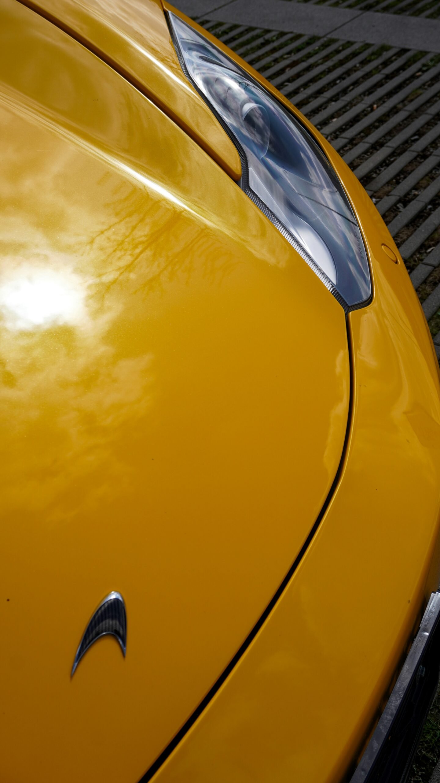 Close up of a shiny car hood with ceramic coating reflecting the sun